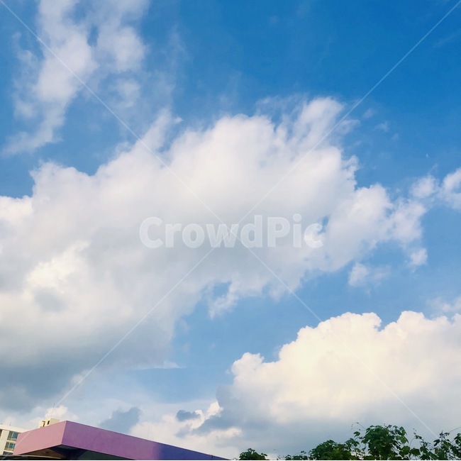 nature,sun,sunny,sky,cloud,bright,outdoor,자연,날씨,맑음,가을하늘,가을,여름,여름하늘,구름,하늘