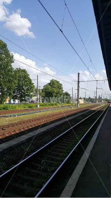 기차역,선로,하늘,나무,전선,trainstation,tracks,sky,tree,wires