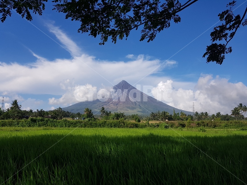 nature,자연,outdoors,옥외,grassland,목초지,field,들,countryside,한지방,paddyfield,패디필드,마욘화산,mayonvolcano,자연,풍경,nature,landscape