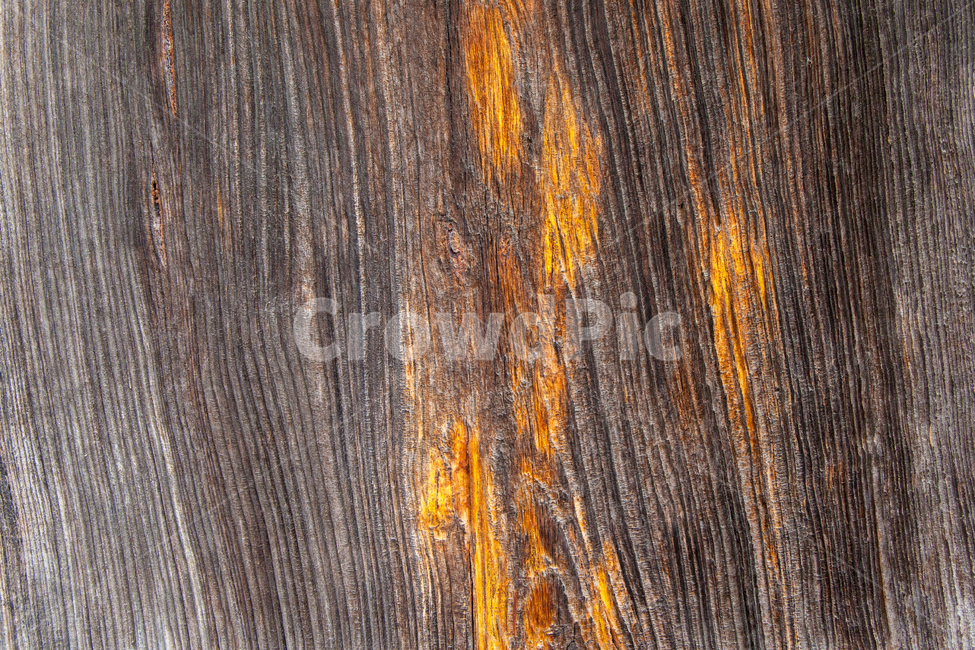 나무결,나무,나무무늬패턴,패턴,스킨,텍스처,질감,패턴,texture,pattern
