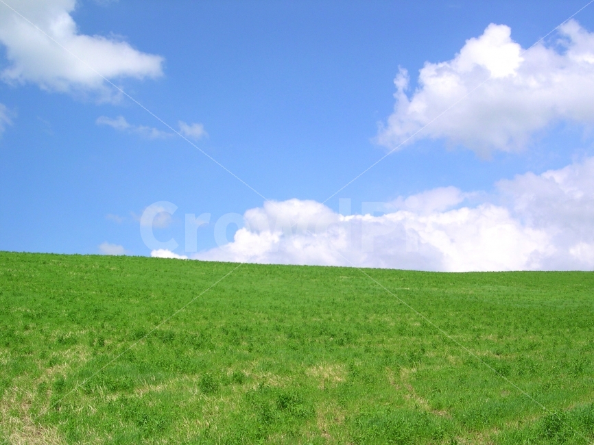 	배경,배경이미지,배경사진,백그라운드,빽그라운드,background,풍경사진,바탕화면,바탕이미지,하늘,구름,자연,지평선,언덕,들판,초원,풍경,풀밭,자연,풍경,nature,landscape,outdoors,옥외,grassland,목초지,field,들