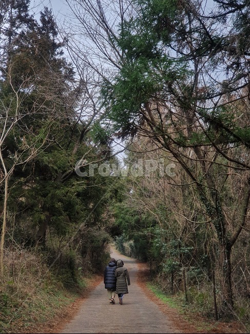 제주도,오름,숲,금악오름,두여자,뒷모습,흙길,나무,오솔길,산책,산책로,겨울숲