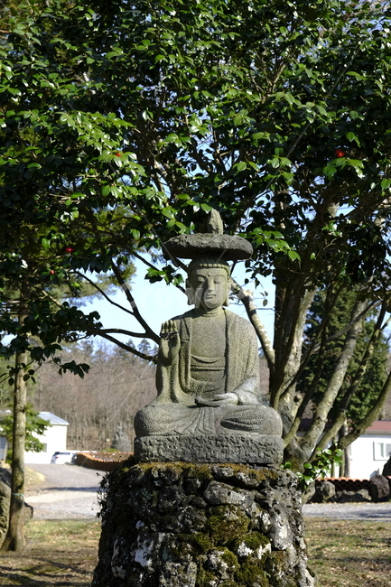 사찰,절,temple,religion,statue,동상,부처님,부처,불교,불상