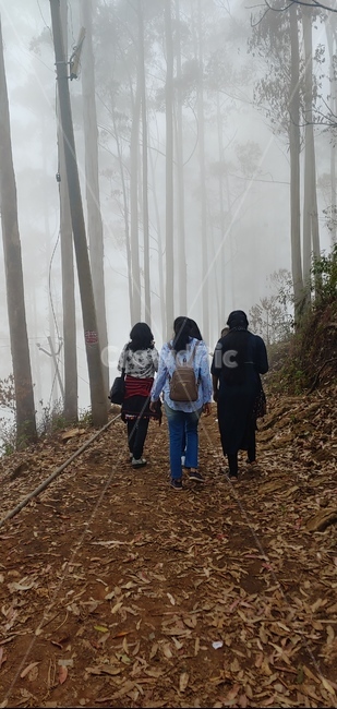 자연,풍경,nature,안개,fog,people