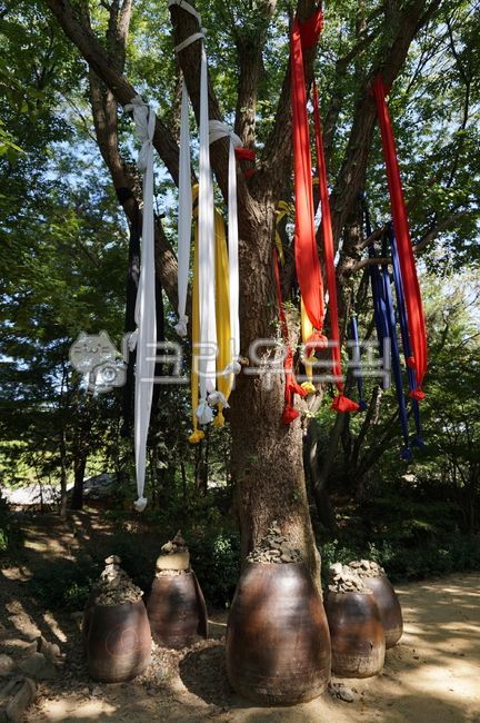 한국민속촌,토속,서낭당,나무,토속신앙,korea,traditional,totemism,shamanism,tree,koreanfolkvillage