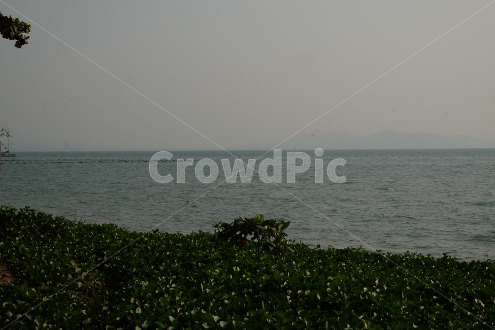 바다,풀,하늘,풍경,바닷가,자연,풍경,nature,landscape