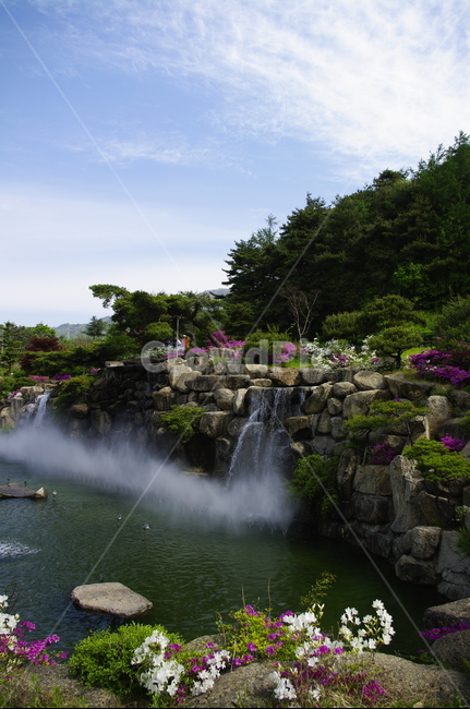 폭포,화단,하늘,구름,바위,꽃,flower,식물,plant,계절,봄,spring,자연,풍경,nature,landscape,water,물,outdoors,옥외,river,강
