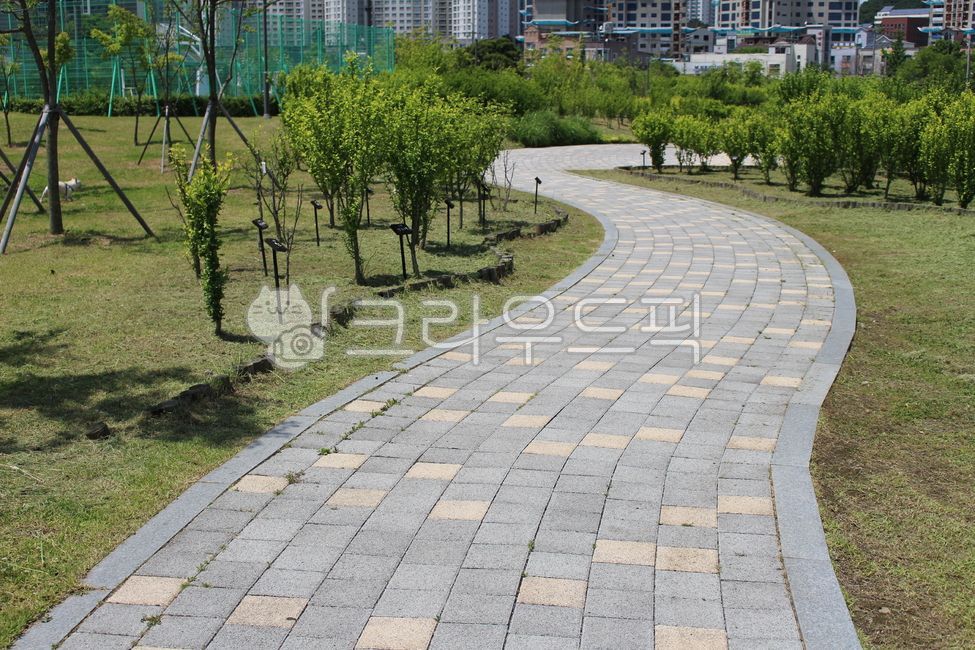 walkingtrails,tree,trail,awalkingtrail,grass,walking path,agrasspark,lawn park,park