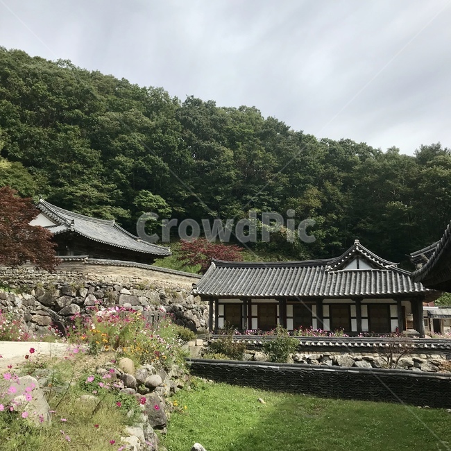 무주덕유산,덕유산,백련사,절,temple,nature,자연