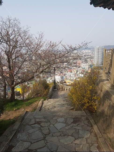 유달산,산책로,산길,돌길,목포,계단,통로,보도,walkway