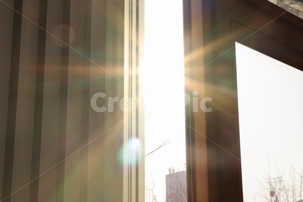 light,빛,sunlight,햇빛,flare,플레어