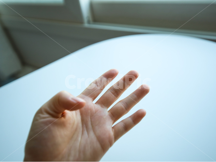 손바닥,human,인간,person,사람,finger,손가락,손금,손,피부,살색,사람,인물,인간,human,person,신체일부,몸,body