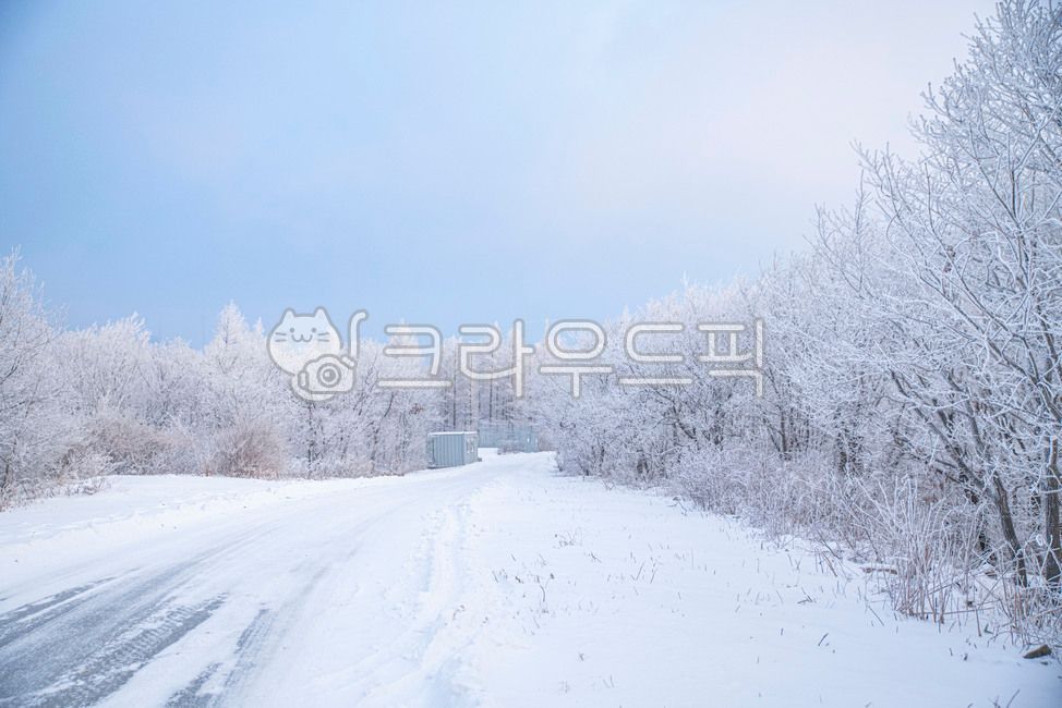 겨울,상고대,겨울산,나무,눈꽃,겨울풍경,숲,겨울숲,nature,빙,snow,눈,자연,outdoors,옥외,ice,겨울,계절,winter,season,자연,풍경,nature,landscape