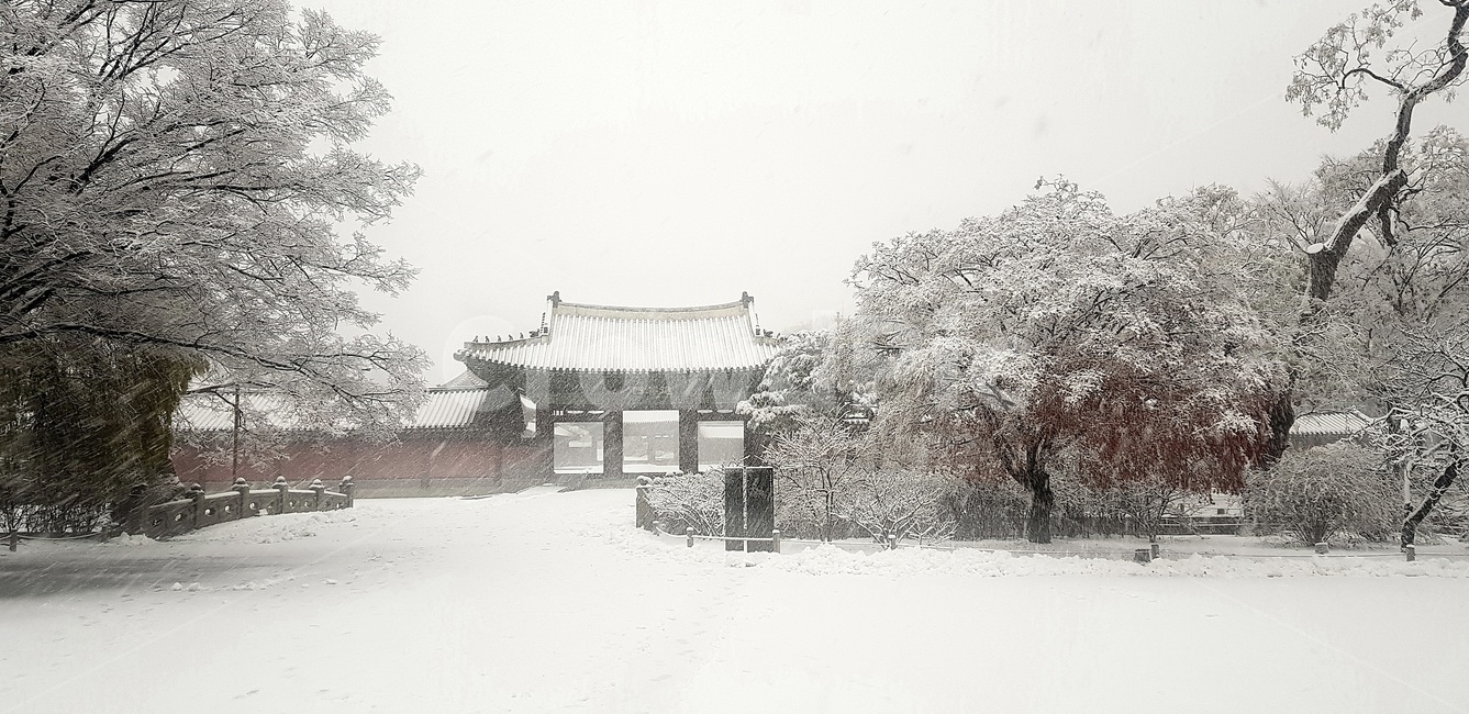 창덕궁,설경,첫눈,서설,고궁,palace,firstsnow,changdeokgungpalace,겨울,계절,winter,season,한국전통,한국문화,korean traditional,korean culture,건축물,건물외관,exterior,building,structure,architecture,construction