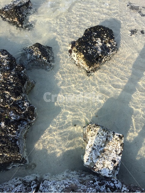 자연,바닷물,돌,하얀모래,whitesand