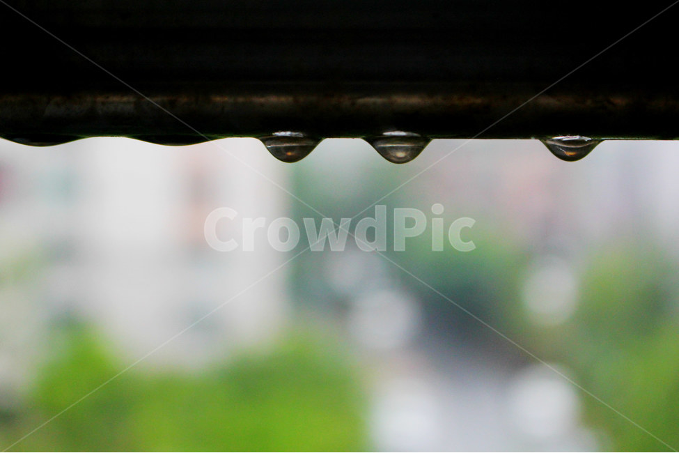 감성사진,빗방울,비,장마,여름,풍경,풍경사진,몽환,우울,rain,clould,비,비오는날,rain,rainy