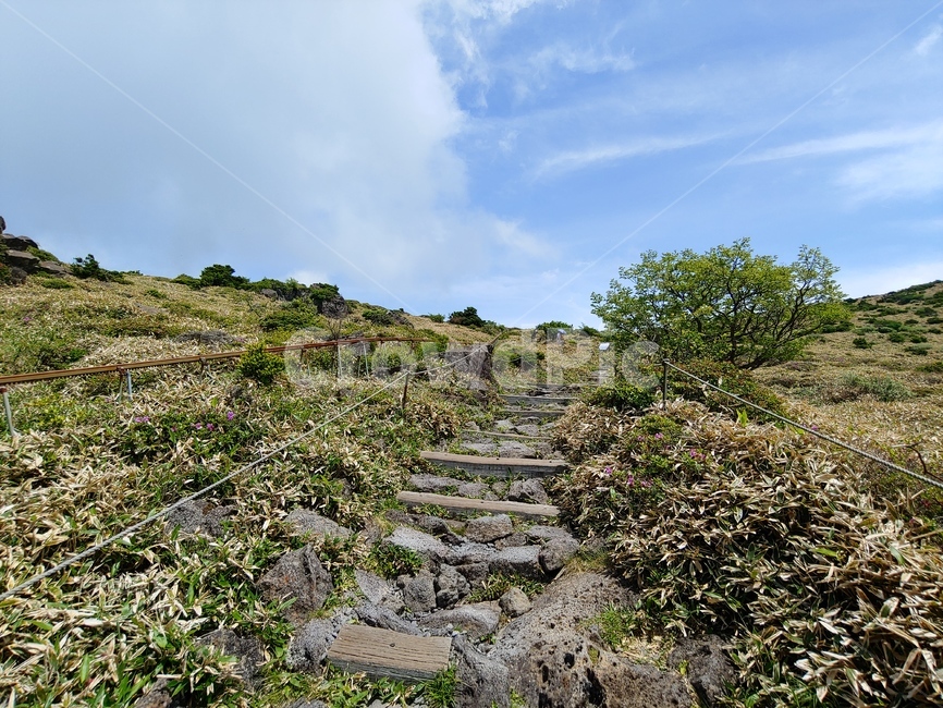 산길,산,하늘,등산로,돌길,mountain,sky,clouds,green,초록,한라산,배경,데크,walkway,trail,fense,펜스,stone,road