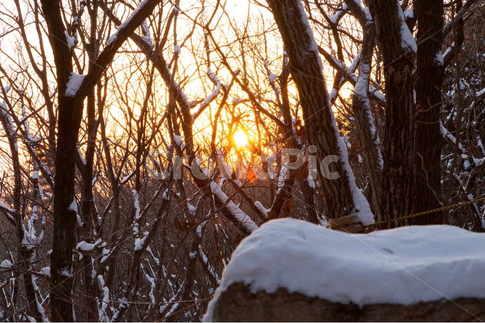 겨울,눈,흰색,자연,추위,겨울,계절,winter,season,자연,풍경,nature,landscape,light,빛,flare,플레어,outdoors,옥외