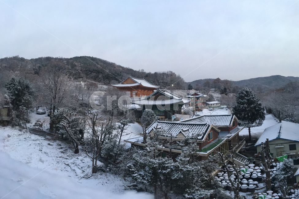 풍경,눈,설경,아침,집,마을,나무,landscape,snow,snowyscene,morning,house,village,tree,겨울,계절,winter,season,시골,마을,풍경,landscape,country,rural,town