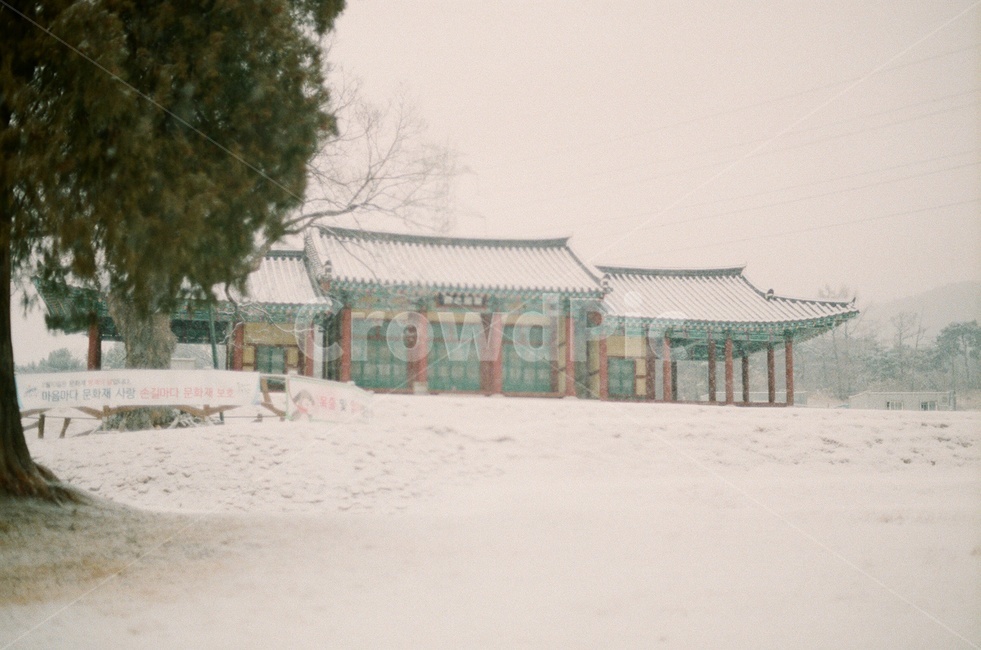 전통적인,한국,관아지,대한민국,눈,겨울,나무,필름사진,포근한,한옥,전통,마을,하늘,풍경,자연,감성사진,korea,snow,winter,film,tradition,sky,겨울,계절,winter,season,한국전통,한국문화,korean traditional,korean culture,랜드마크,landmark,tourist attraction,한국랜드마크,한국관광지,한국명소,korea landmark,korea tourist attraction,건축물,건물외관,exterior,building,structure,architecture,construction