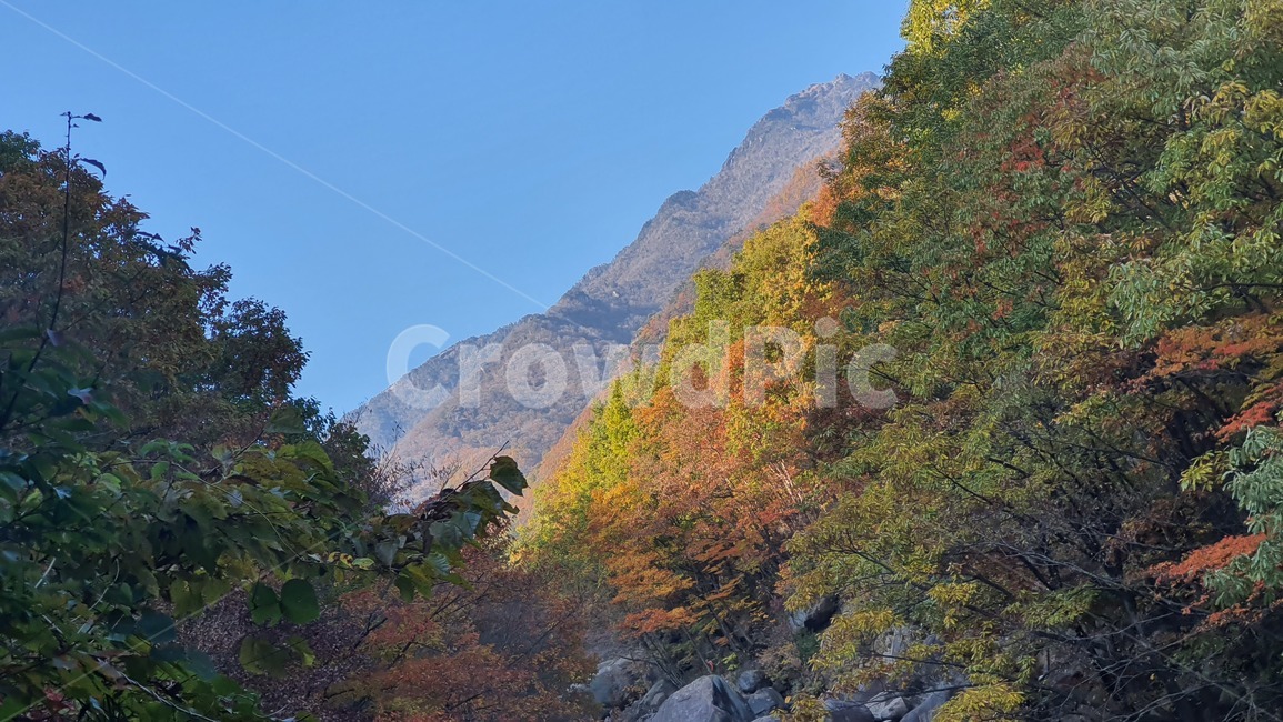 자연,산,단풍,풍경,힐링,가을,계절,fall,autumn,season,자연,풍경,nature,landscape,outdoors,옥외