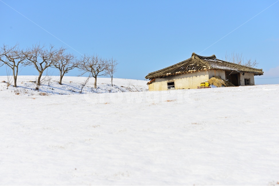 장성,삼서,외딴집,외딴집설경,겨울,계절,폐가,들판,나무,nature,자연,outdoors,옥외,building,건물,겨울,계절,winter,season,자연,풍경,nature,landscape,한국자연풍경,한국자연경관,korea nature landscape