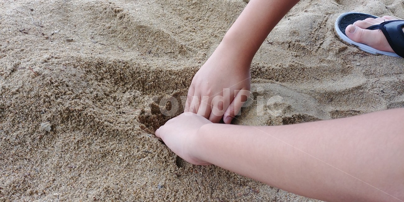 모래,모래놀이,손,해변,해수욕장,흙,sand,hand,신체일부,몸,body