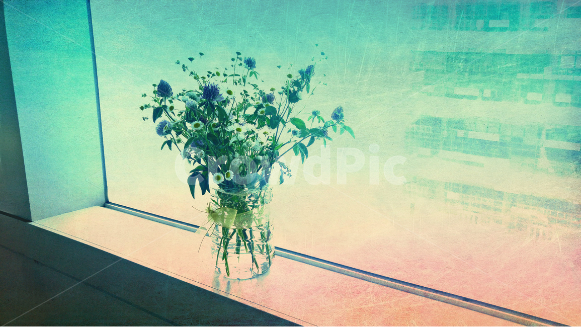 감성,빈티지,창가,창문,화병,꽃,ㅇ리병,색감,유리창,vintage,feeling,emotion,sensible,window,flowers,grass,simple,심플,모더니즘,모던,morden,공간,여백,토끼풀,야생화,그라스,분위기,느낌,필,배경,바탕,백그라운드,background,풍경,기억,그리움,추억,메모리,꽃,flower,실내용화초,화분,화초,house plant
