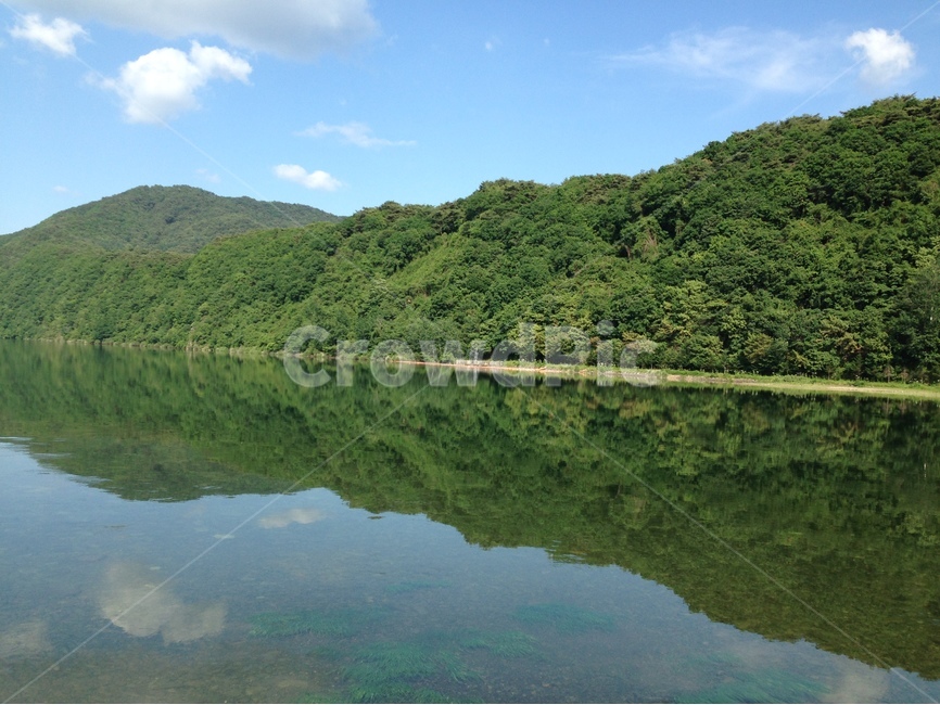 강,숲,river,forest,대칭,녹색,자연,풍경,nature,landscape,water,물,outdoors,옥외