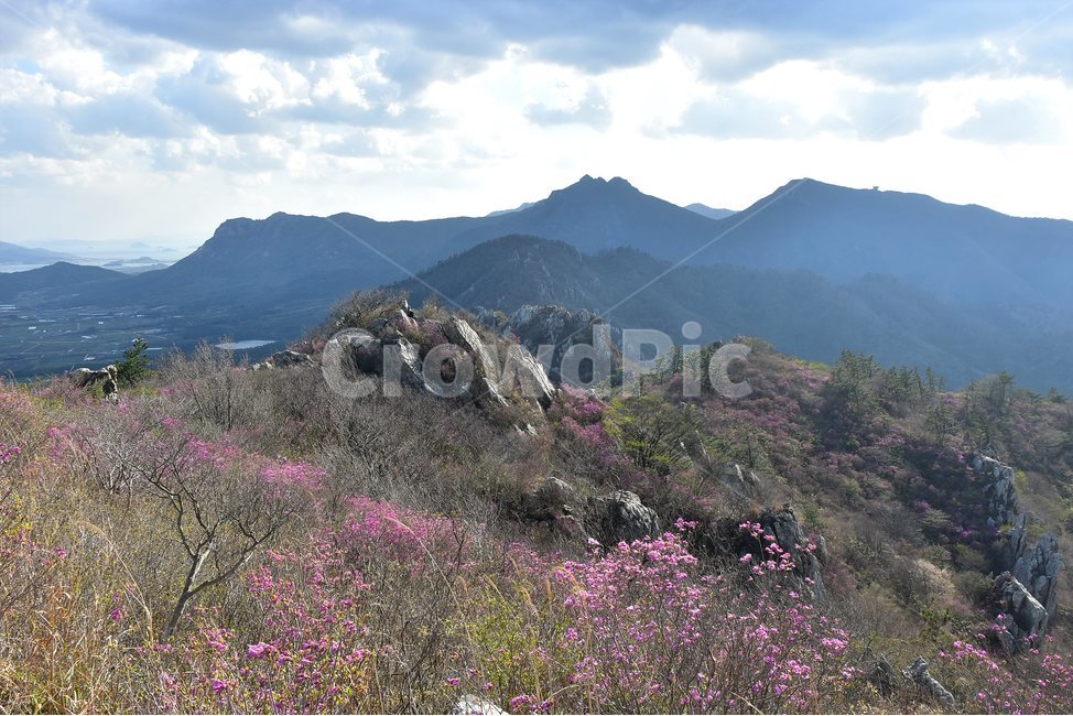 주작산,덕룡산,종주,진달래,풍경,기암,바위,비경,봄풍경,진달래꽃,강진,명산,산행,등산,마운틴,힐링,mountain,landscape,자연,natural,자연,풍경,nature,landscape,한국자연풍경,한국자연경관,korea nature landscape,outdoors,옥외,산,mountain range,산맥