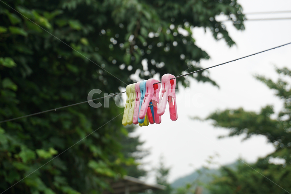 빨래집개,집개,빨래,빨래줄,시골,여름,clothespin,wash,비,비온뒤,country,감성,오후,rain,summer,raindrop,빗방울,green,나무,tree