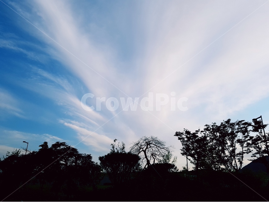 하늘,흰구름,풍경,맑음,해,자연,풍경,nature,landscape,outdoors,옥외,sky