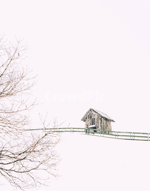 forest,nature,blizzard,heavy snow,tree,winter,snowy road,snow field,sheep ranch,building,hill,white,outdoors,road,snow,daegwallyeong,winter landscape,forest road,walk