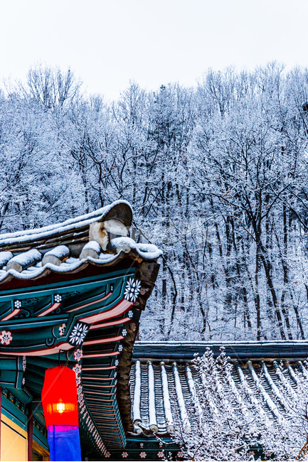 설경,고택,청사초롱,문양,무늬,기와,전통,겨울,계절,winter,season,한국전통,한국문화,korean traditional,korean culture,건축물,건물외관,exterior,building,structure,architecture,construction