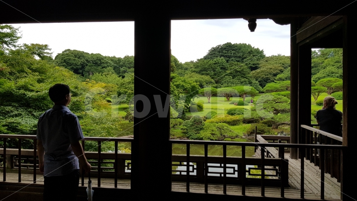 당당함,기개,어깨펴고,미래를보다,앞을보다,꿈,화이팅,늠름함,자연,풍경,nature,landscape,사람,인물,인간,human,person,감정표현,기분,feeling,emotion