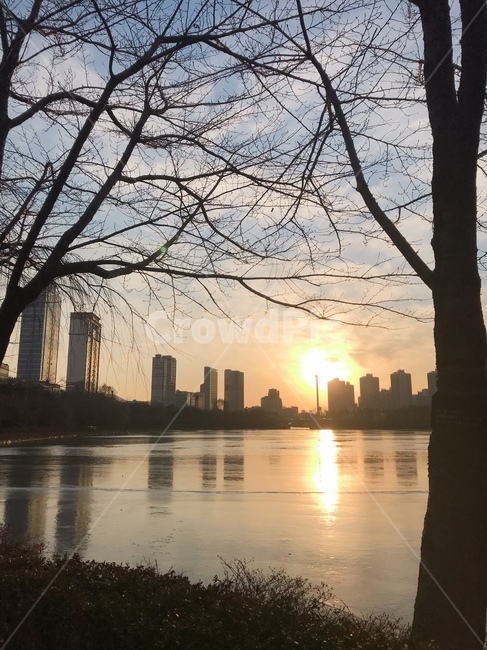 겨울호수,석촌호수,겨울석촌호수,일몰,겨울나무