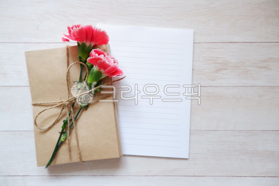 카네이션,카네이션배경,핑크카네이션,편지,카드,어버이날,스승의날,편지지,편지봉투,목재,목재배경,꽃,꽃잎,녹색,핑크,flower,floral,carnation,card,letterpaper,woode,craftpaper,선물,리본,어버이날배경,스승의날배경,감사편지,기념일,축하,anniversary,congratulation,celebrate,celebration
