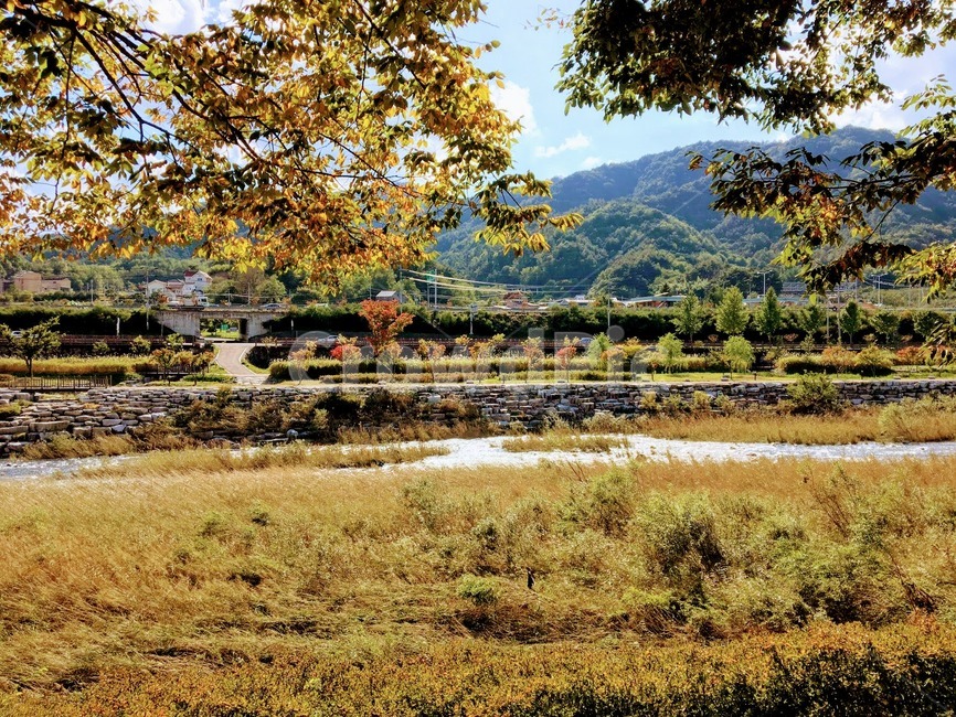 가을,강가,산책,등산,산