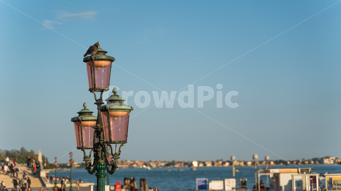 베니스,venice,이탈리아,베네치아,venezia,italy,italia,관광지,바다,물의도시,도시,수상도시,건축물,건축,가로등,하늘