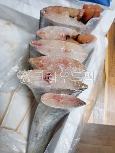 갈치,생선,갈치알,생선알,음식,생물,food,fish