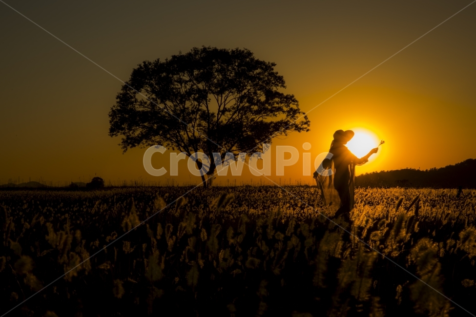 일몰,태양,실루엣,여인,석양,자연,풍경,nature,landscape,사람,인물,인간,human,person,여성,여자,woman,female,lady,인물실루엣,사람실루엣,character silhouette,human silhouette,감성,sensible,feeling,flare,플레어,light,빛