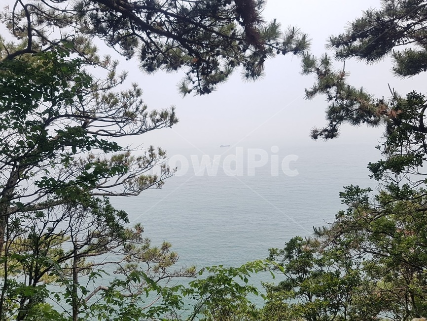 부산,송림공원,공원,나무,바다,busan,sea,tree