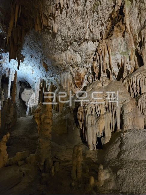cave,Postojna Cave,nature,lime,karst terrain,Postojna,Slovenian,karst,balkan,llama,balkan peninsula,limestone cave,postoija,Yama Cave,europe