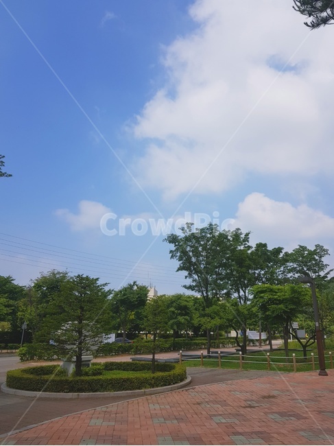 하늘,나무,자연,풍경,구름,맑은하늘