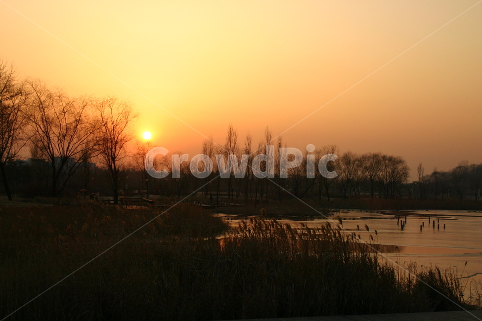 석양,노을,일몰,태양,해,호수,강,저녁,하늘,평화로움,조용,시골,갈대,억새,sunset,lake,water,sky,sun,landscape,sunrise,nature,clouds,trees,river,reflection,morning,dusk,forest,tree,orange,fog,dawn,yellow,evening,beautiful,silhouette,pond,golden,memory,recollection