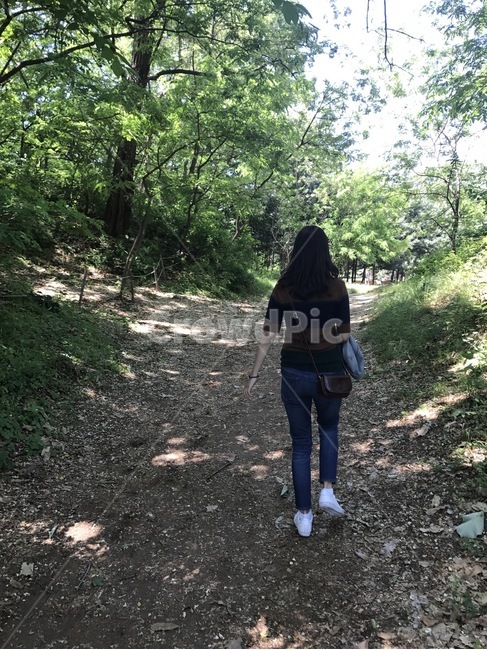 사람,뒷모습,숲,산책,걷기