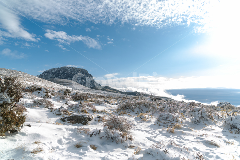 한라산,제주도,영실코스,구름,설산,산정상,제주오름,눈꽃,나무,얼음,겨울,계절,winter,season,자연,풍경,nature,landscape,outdoors,옥외,mountain,산,mountain range,산맥,plateau,고원