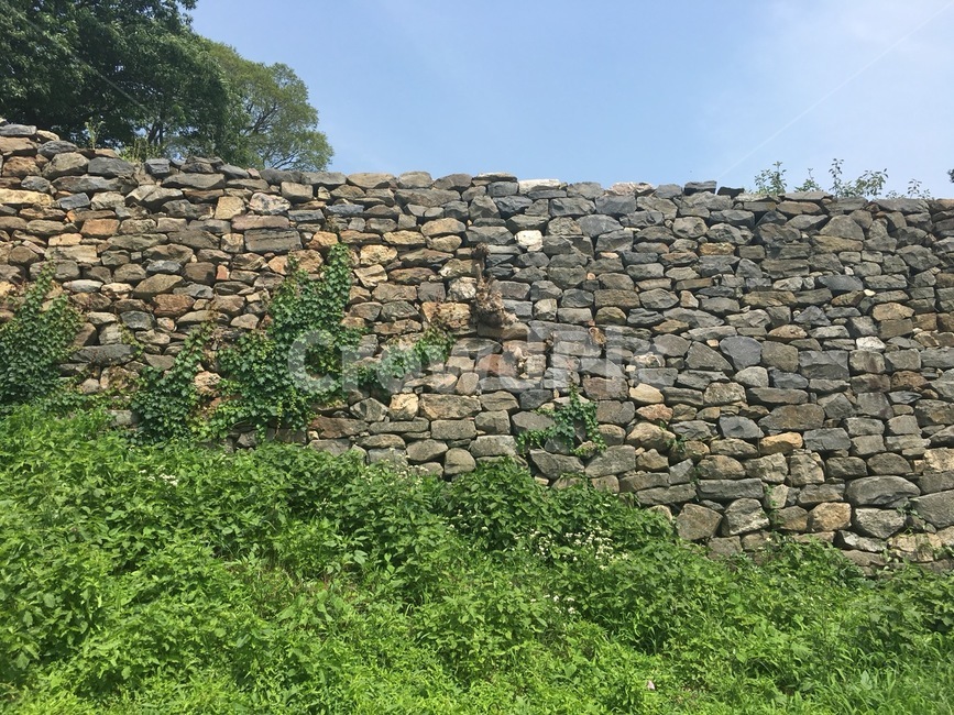 돌담,돌벽,풍경,여름,봄,가을