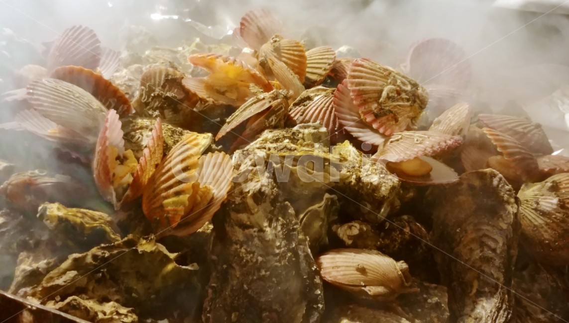 굴,가리비,해산물,구이,oyster,scallop