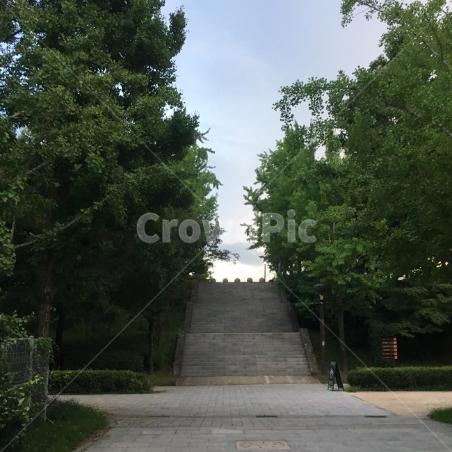outdoors,나무,tree,stairs,옥외,garden